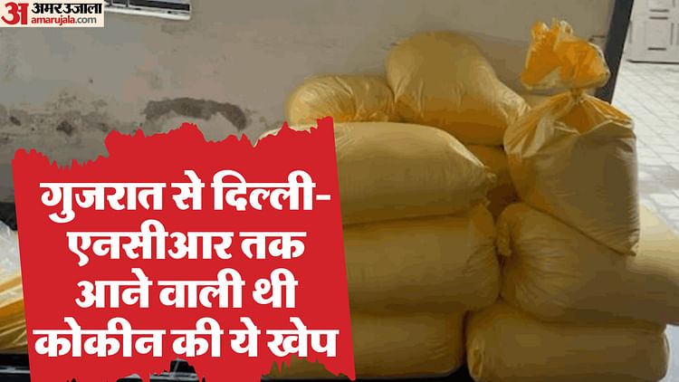 Big Disclosure Of Drug Trade Consignment Recovered From Gujarat-delhi Had Only One Link – Amar Ujala Hindi News Live