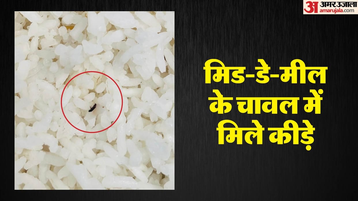 Insects found in mid-day meal rice ISKCON Foundation sent food to school