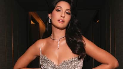 Bollywood actors like Imran Khan Alia Bhatt Nargis Fakhri Nora Fatehi Sunny Leone do not have indian citizens