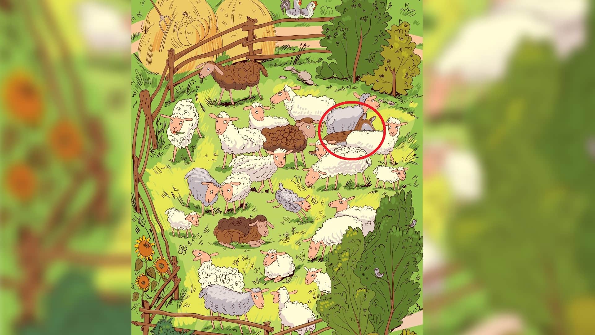 Optical Illusion For IQ Test: Can You Spot A Wolf Within 8 Seconds Viral Brain Test Optical Illusion