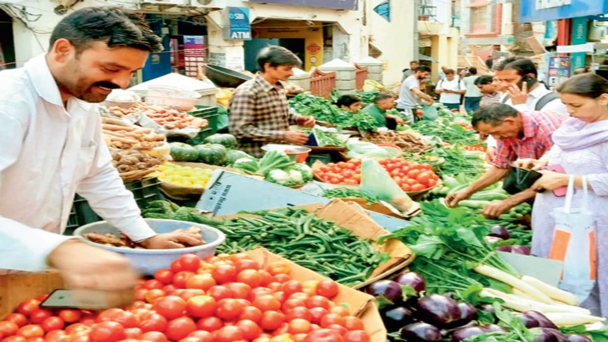 Tomato prices in Himachal pradesh