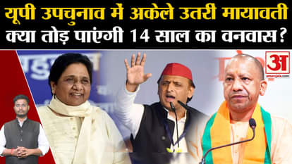 UP By Election 2024: Will Mayawati, who contested alone in the UP by-elections, be able to break her 14 years