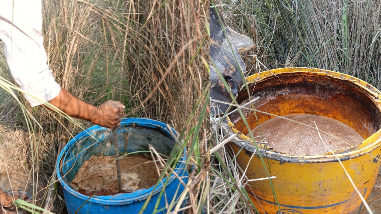 Bihar News : after Siwan bihar hooch tragedy saran liquor death toll rises, person died in gopalganj liquor