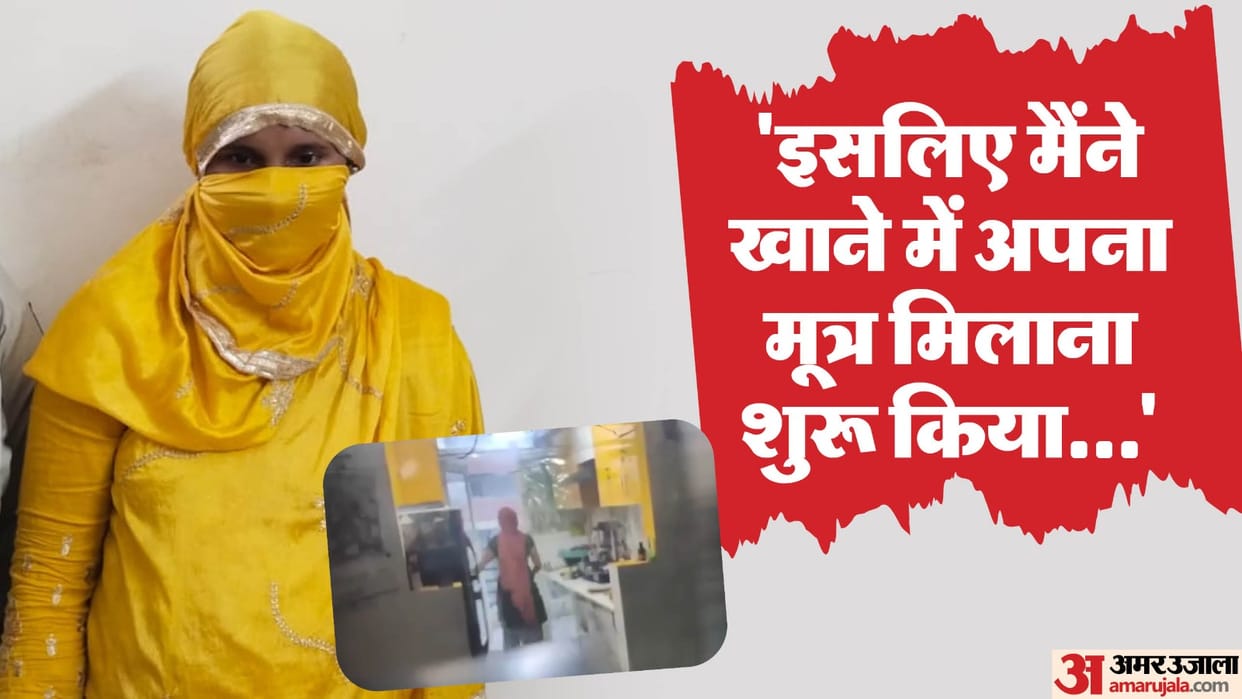 Ghaziabad Maid News Shocking Confession by Domestic Helper Reason Details in Hindi