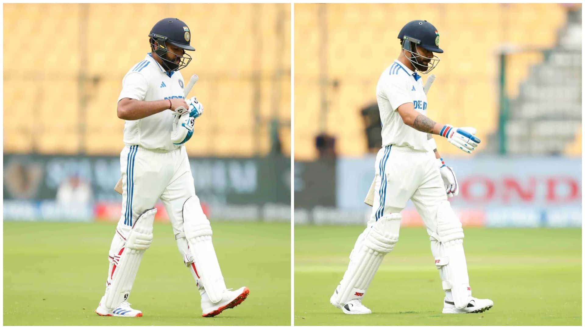 IND vs NZ 2nd Test 2024 Live Streaming Telecast Channel Where and How to Watch India vs New Zealand Test Match