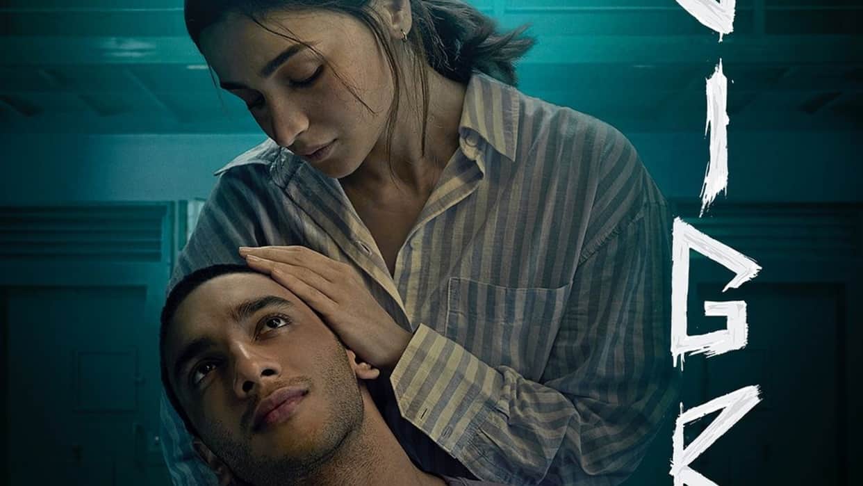 Jigra box office collection day 6 Alia Bhatt film low on wednesday lowest lifetime collection as per report