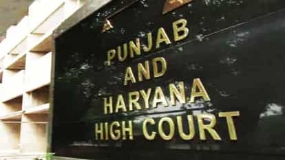 High Court: पत्नी की सैलरी ज्यादा, पति पहुंचा हाई कोर्ट, अदालत का फैसला- जिम्मेदारी से नहीं भाग सकता Husband Even wife earns more husband cannot run away from the responsibility of the child Punjab haryana HC
