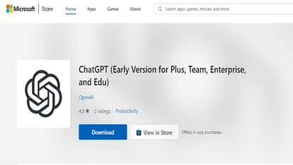 ChatGPT windows app