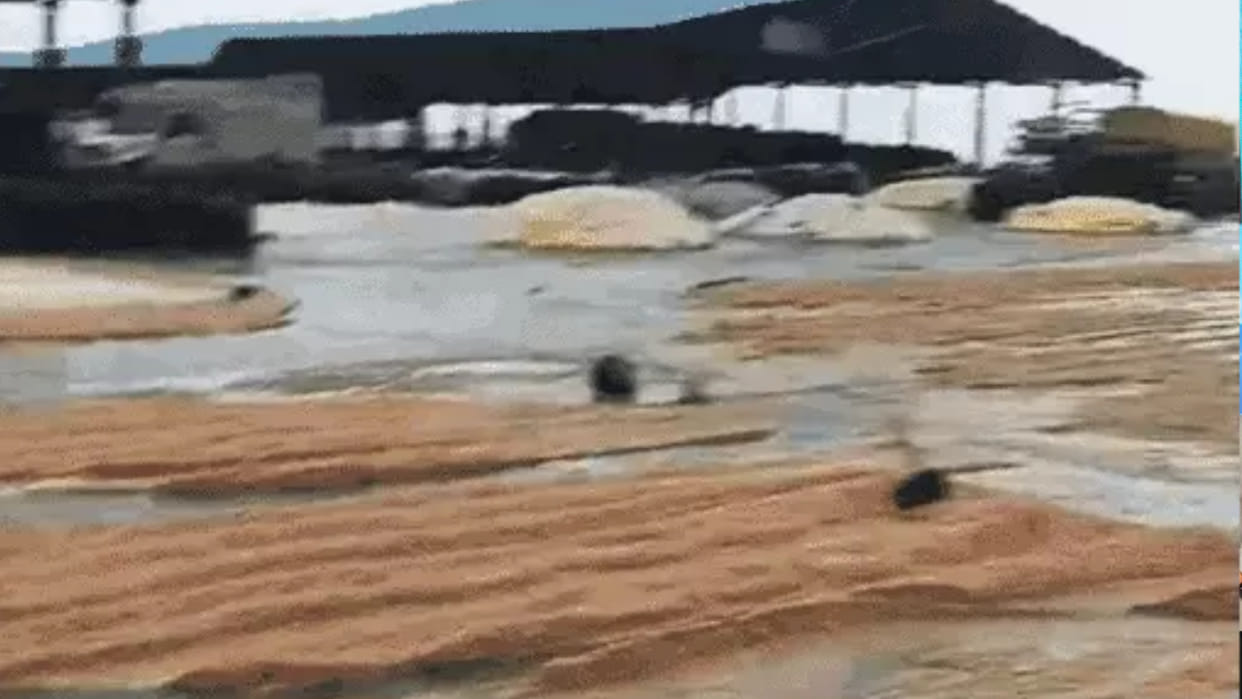 MP Weather: Cold knocks in Madhya Pradesh, maize washed away due to rain in Chhindwara