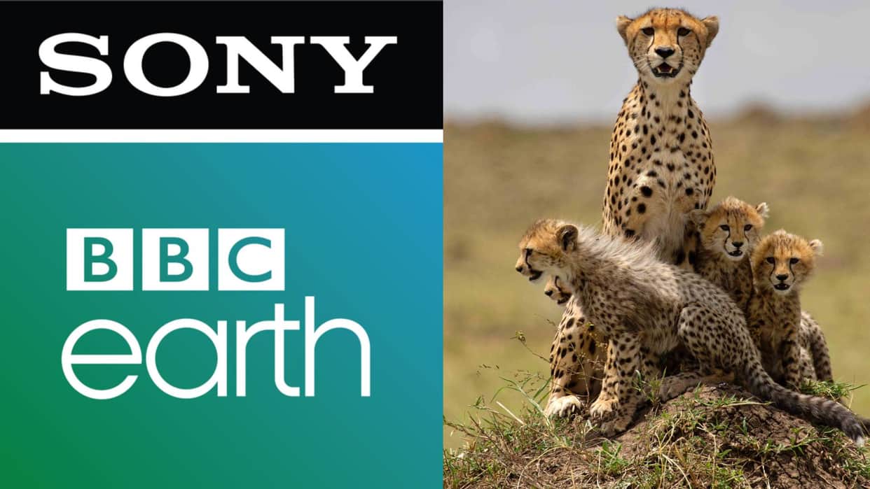 Sony BBC Earth to premiere 6 part series Mammals narrated by David Attenborough Executive Producer praises it