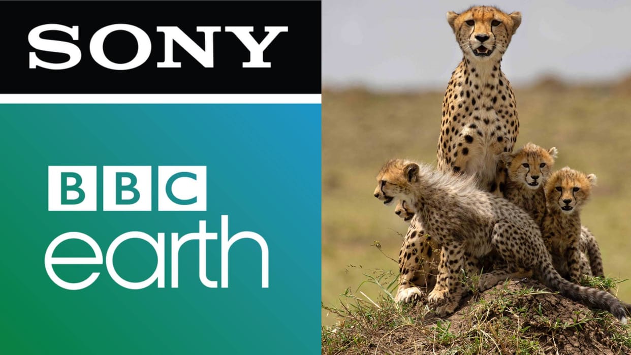 Sony BBC Earth to premiere 6 part series Mammals narrated by David Attenborough Executive Producer praises it