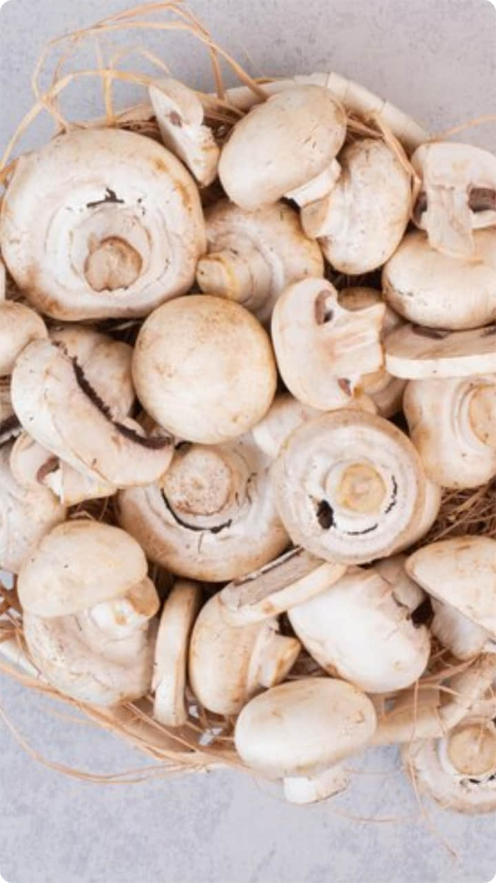 मशरूम खाने के फायदे