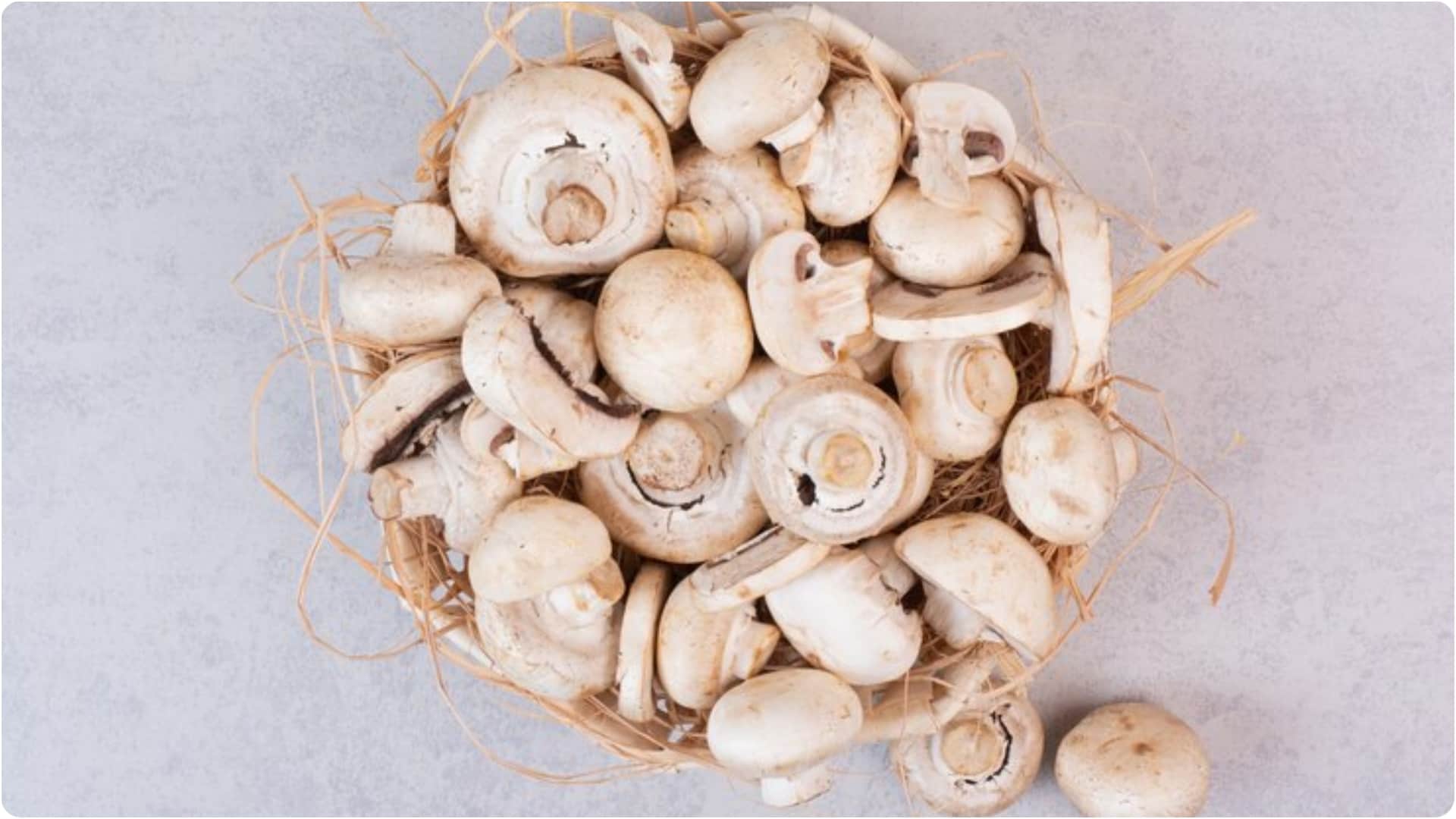 Best Winter Vegetables for Protein: Include Spinach and Mushroom in Your Diet for Immunity