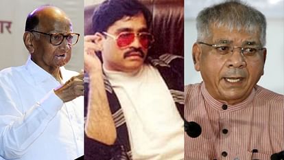 Prakash Ambedkar claimed Sharad Pawar met underworld don Dawood Ibrahim in Dubai when he was CM