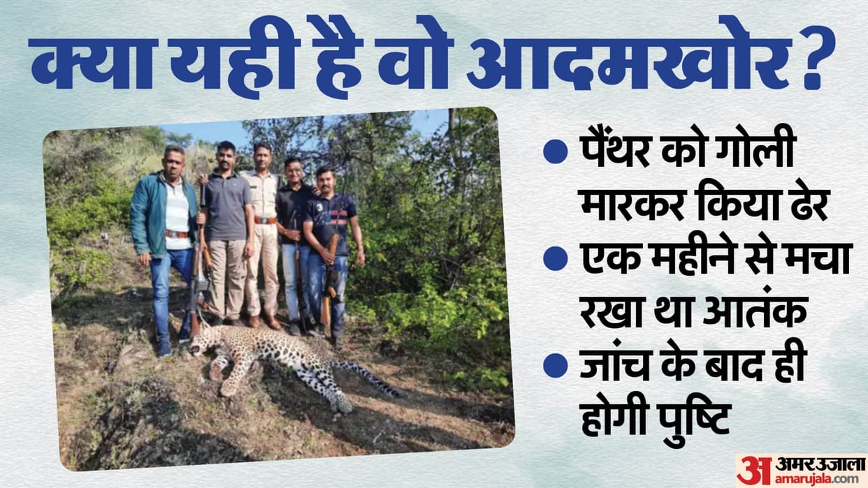 Udaipur News: Man-eating panther killed, shot by forest department team, killed 10 people in a month