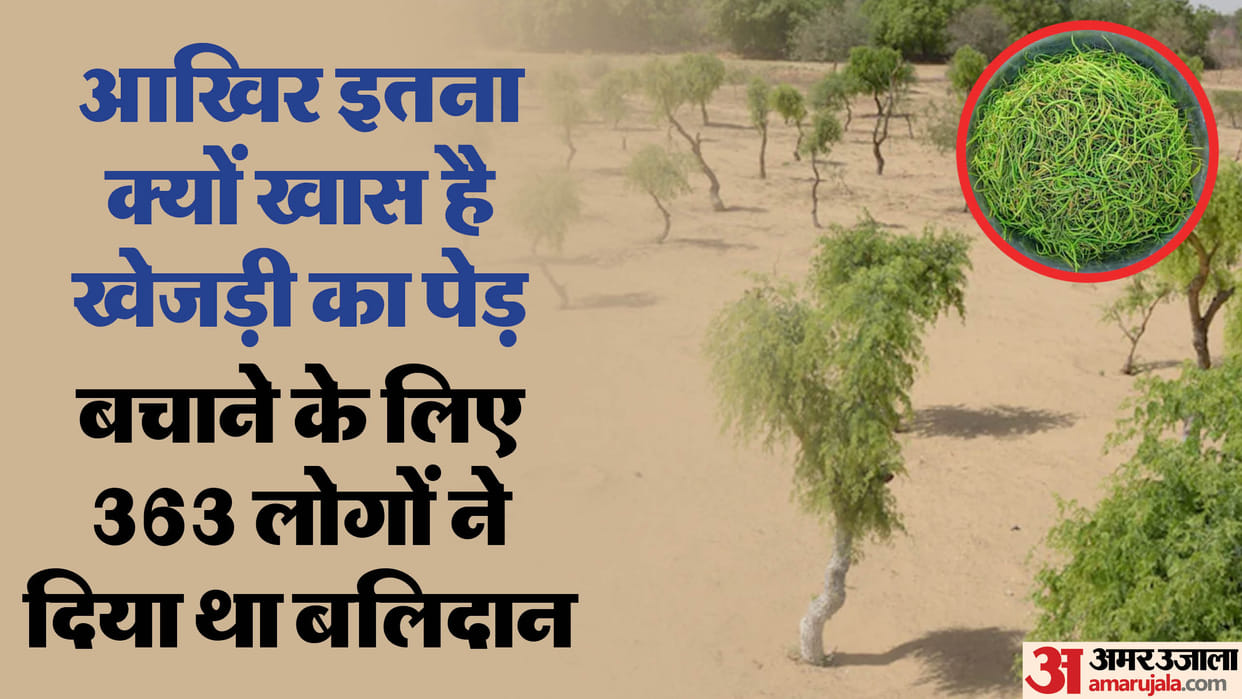 Rajasthan Dharna 47th day in Bikaner to save Khejri tree people protesting by keeping their mouths shut