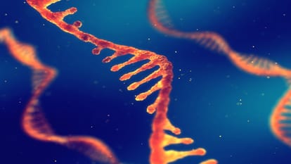 Nobel Prize in Physiology or Medicine 2024: The Role Of Micro RNA In Gene Regulation