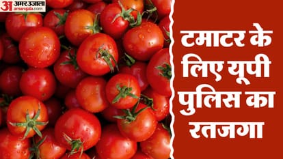 Police guarded tomatoes scattered after accident on Jhansi Kanpur highway