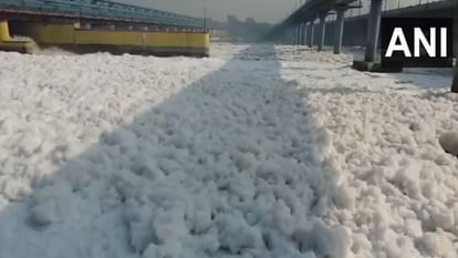 Delhi: प्रदूषण बढ़ने के साथ यमुना भी दूषित, छठ पूजा से पहले झाग-झाग हुई नदी; वीडियो आया सामने Toxic foam seen floating on the Yamuna River Visuals from Kalindi Kunj