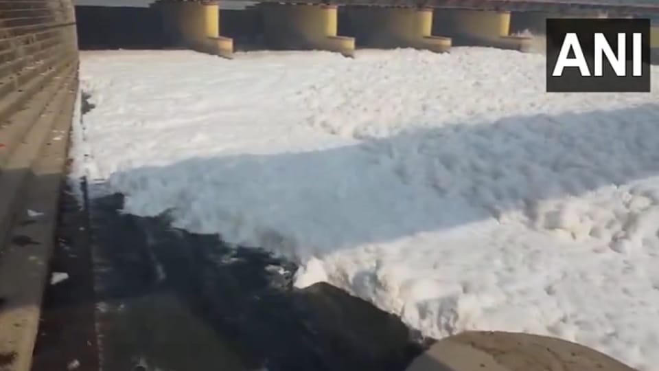 Toxic foam seen floating on the Yamuna River Visuals from Kalindi Kunj