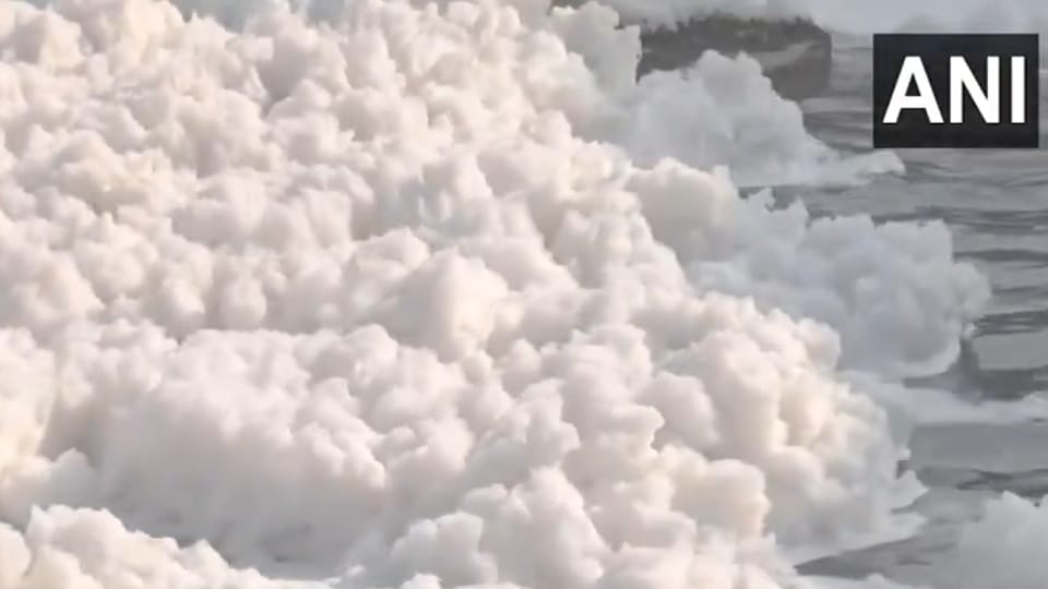 Toxic foam seen floating on the Yamuna River Visuals from Kalindi Kunj