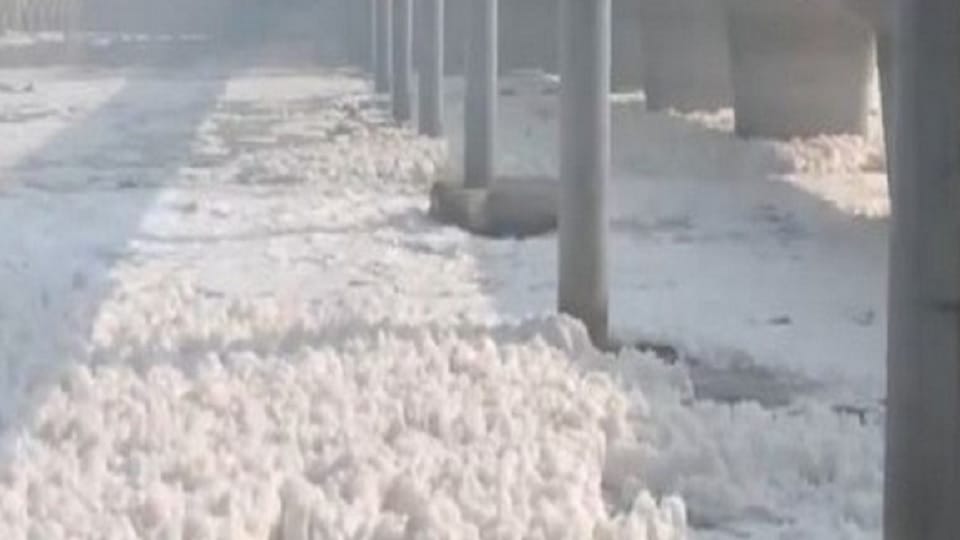 Toxic foam seen floating on the Yamuna River Visuals from Kalindi Kunj
