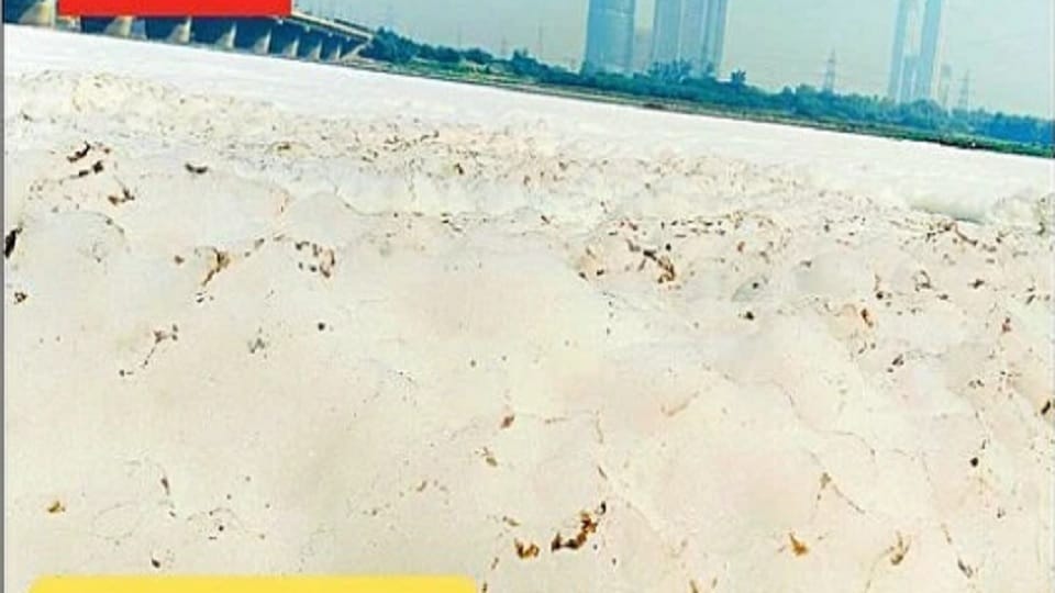 Delhi Pollution Toxic Foam in Yamuna halt in water flow poses health hazards news in Hindi