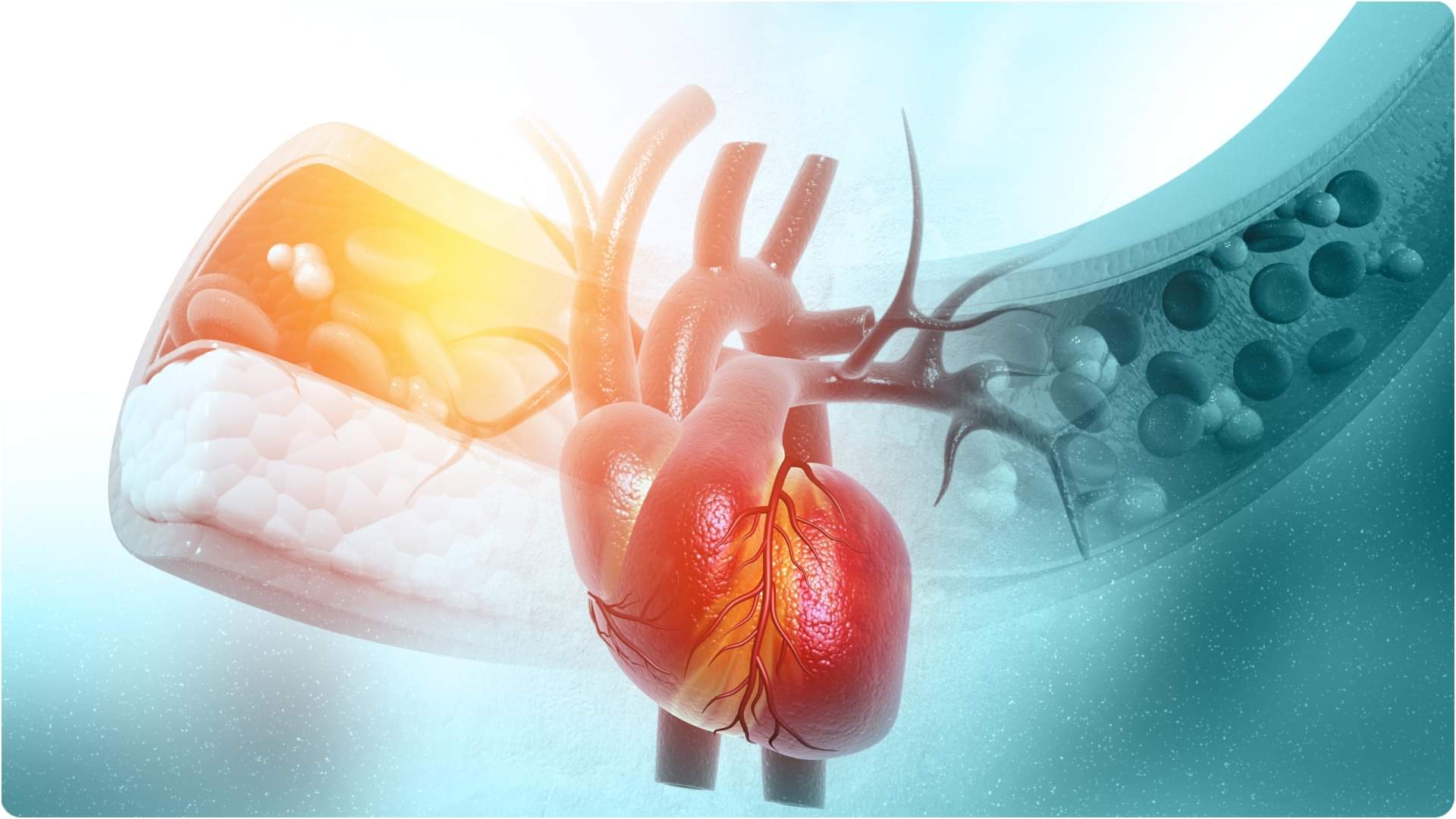 Avocado health Benefits Followed By Celebrities Avocado Ke Fayde