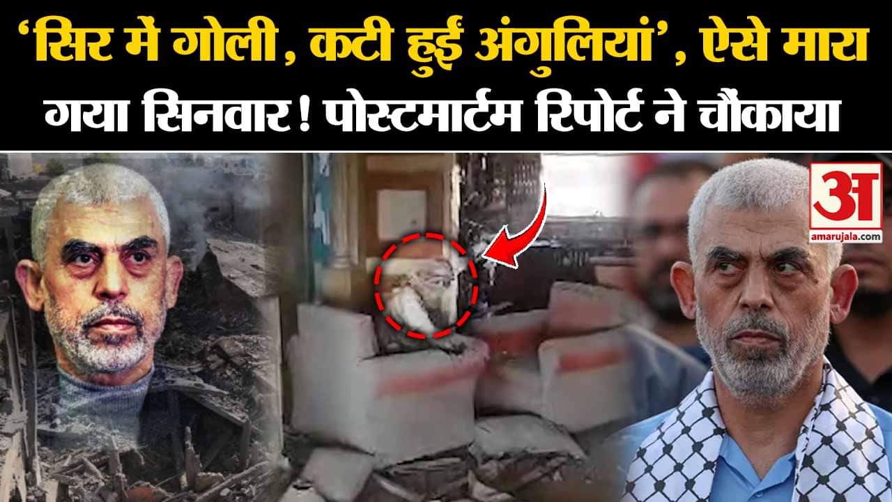 भारत समाचार