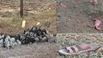 Eight people were injured in bomb blast in Kasganj four are in critical condition