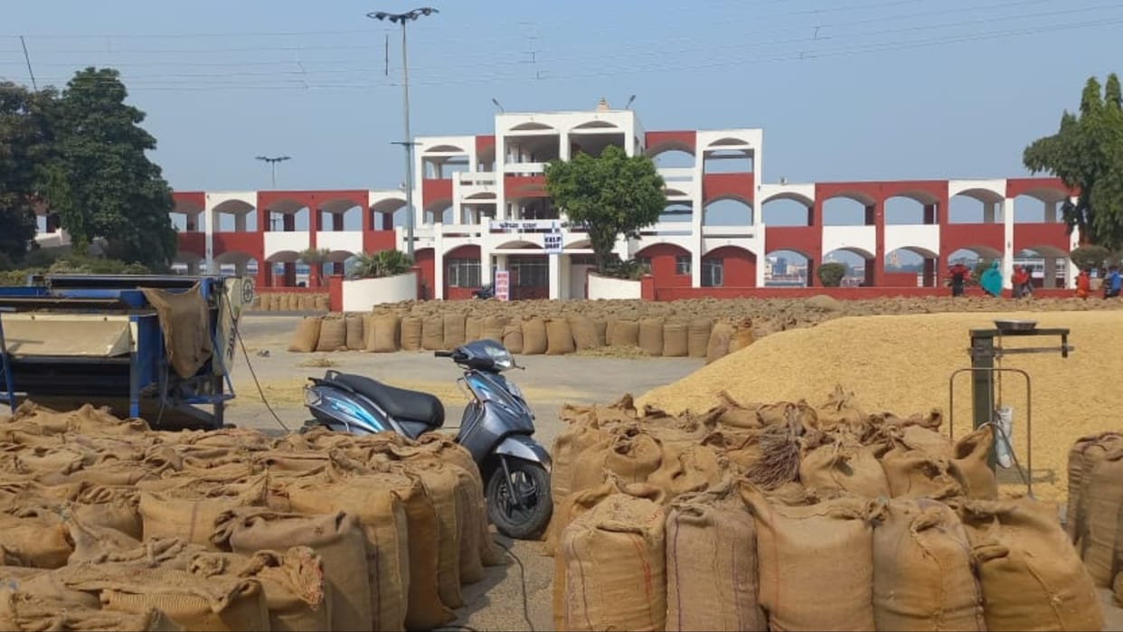 Kurukshetra: VVIP ghat of Brahmasarovar also became grain market, lakhs of MT paddy under open sky