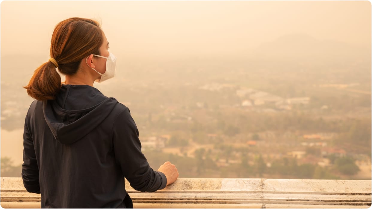 Support of the country's political class is necessary for a permanent solution to the problem of air pollution