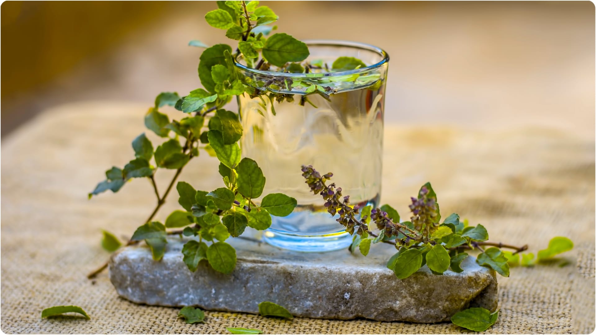 If Tulsi grows on its own then how is it auspicious for the house it gives relief from all the problems