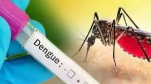 Dengue outbreak increased medical department worried after getting eight new patients