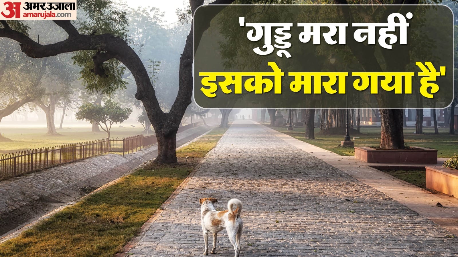 MP Mahua Moitra adopted dog dies MP accuses of murder