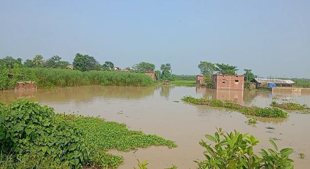 Continuous flow of water from broken embankment in muzaffarpur