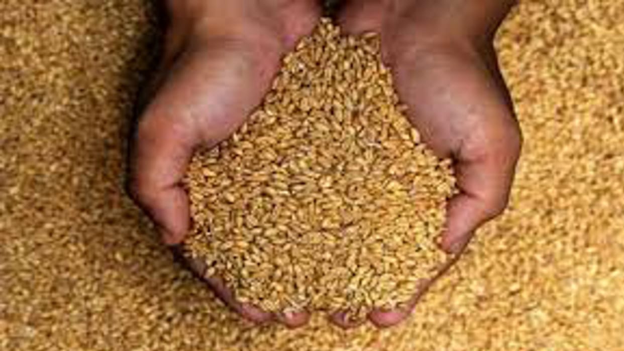No devotee will sleep hungry during Mahakumbh, government will provide free ration
