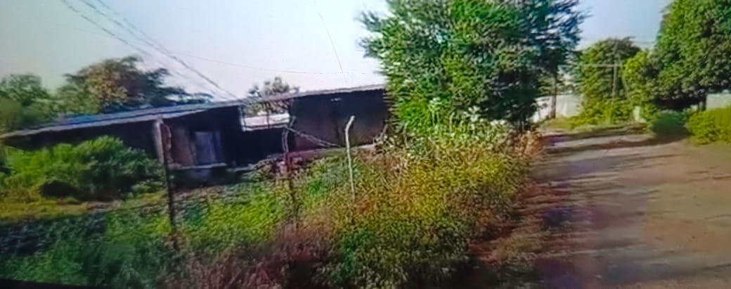 Omkareshwar: It harassed people in the residential area, appealed to the Chief Minister demanding its removal