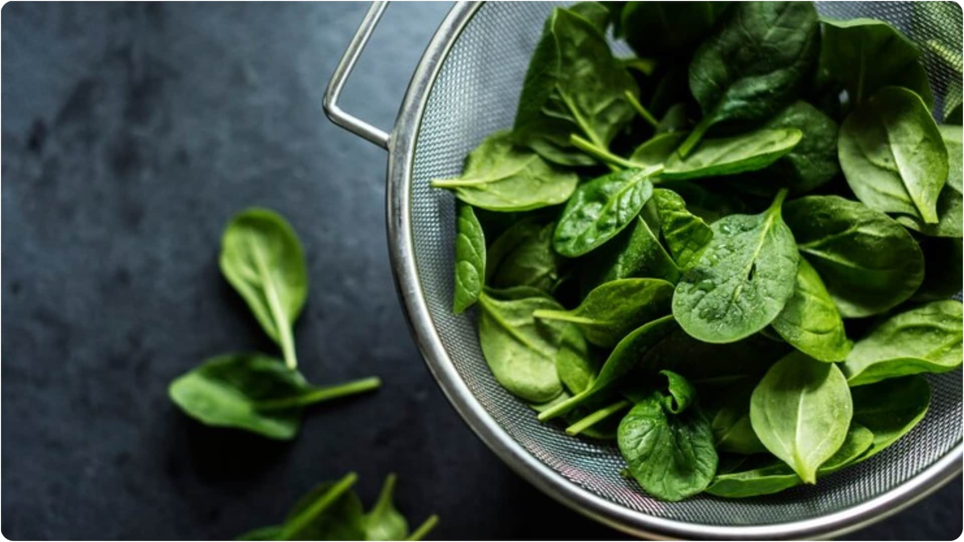 moringa leaf is a storehouse of many vitamins including iron and calcium consuming it can cure many diseases