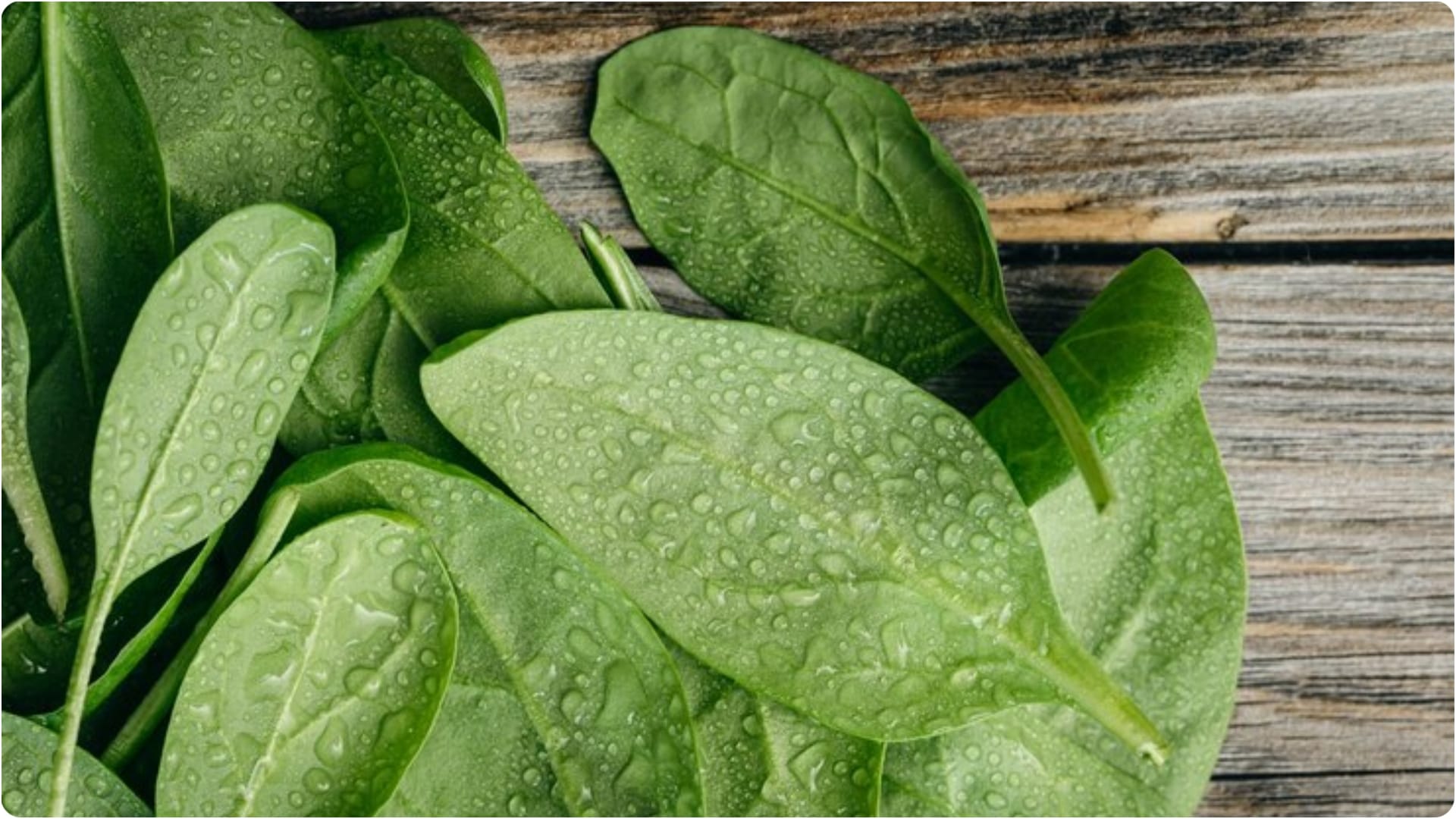 Saag Recipe in Hindi Mistakes To Avoid While Cooking Saag At Home