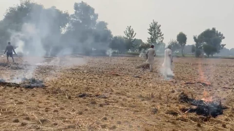 383 red entries for stubble burning FIR against 136 farmers Rs 10.20 lakh fine till now