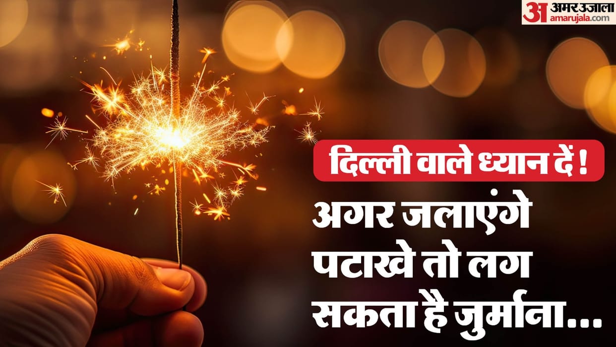 Diwali 2024: Burning and selling firecrackers in Delhi may be the punishment or fine