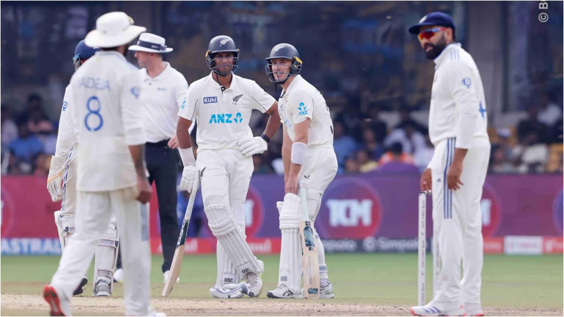 Double happiness in one day for New Zealand Cricket, historic win vs India, then crowned world T20 champion