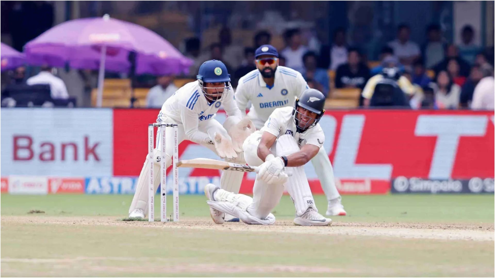 Double happiness in one day for New Zealand Cricket, historic win vs India, then crowned world T20 champion