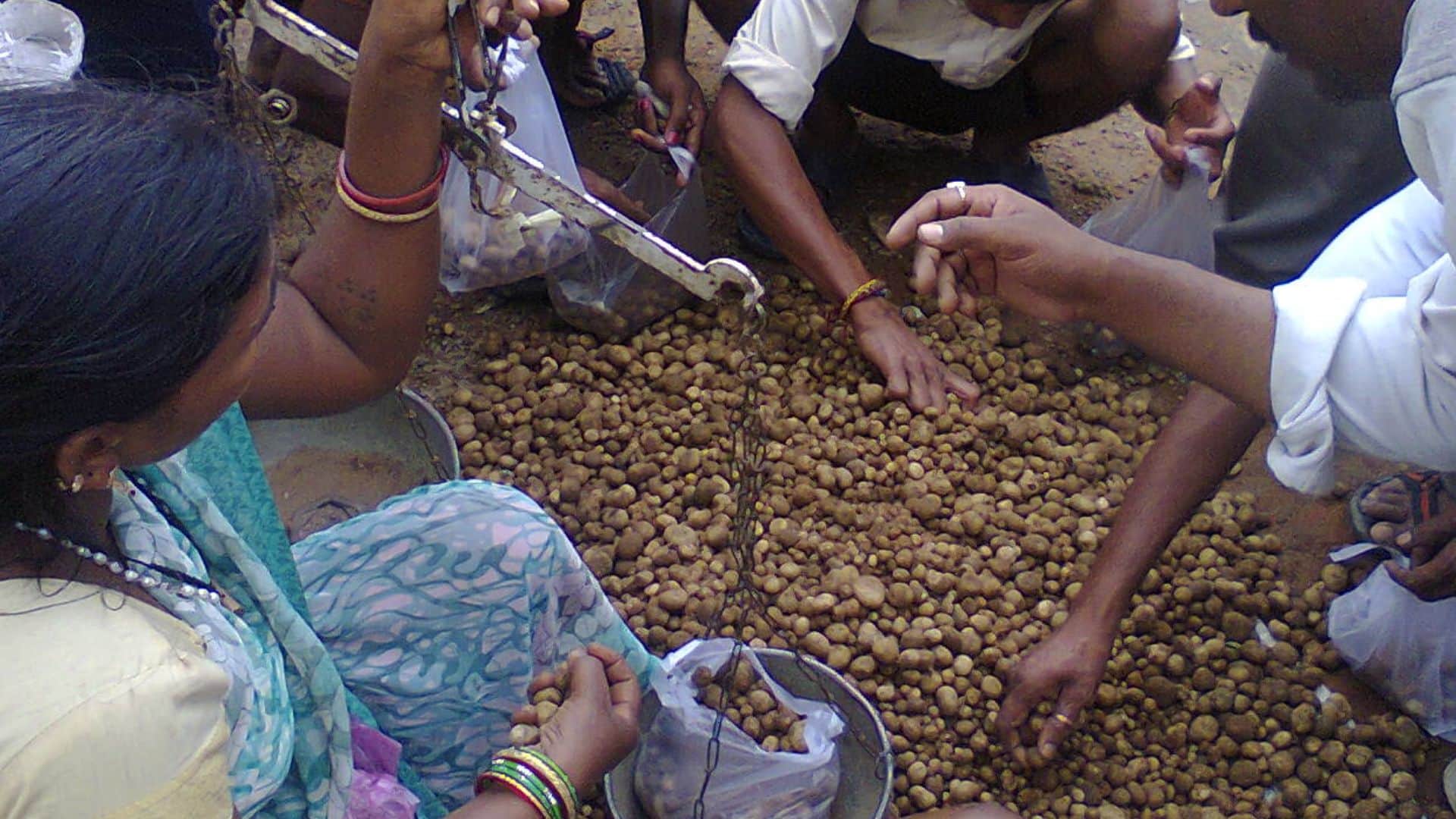 Expensive Vegetables of india news in hindi