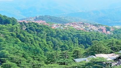 57 rare medicinal plants are on the verge of extinction, State Biodiversity Board released a report