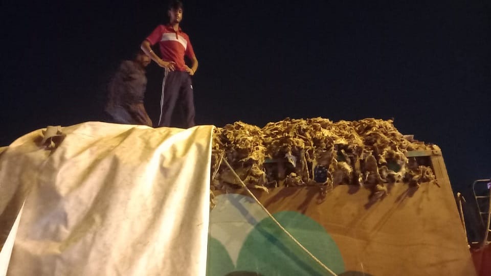 Meerut: Ruckus on highway after meat was found, two youths beaten in front of police, police jeep chased
