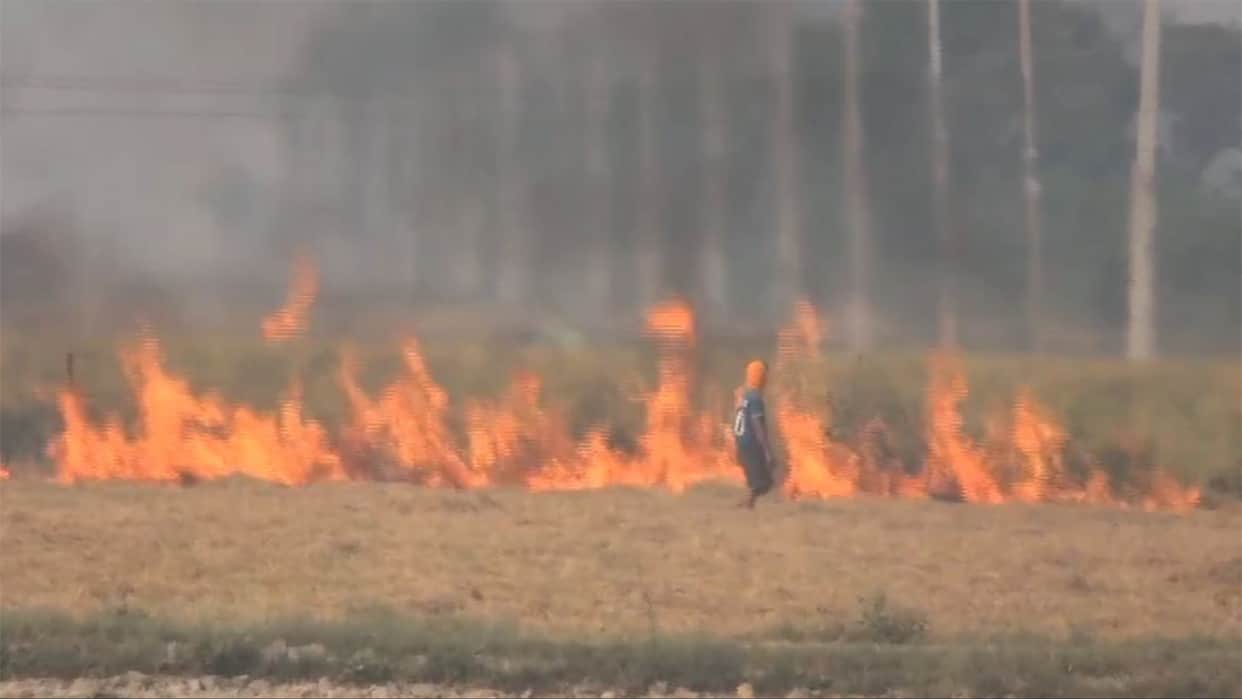 Punjab reports 283 stubble burning cases in a day Jalandhar AQI 236