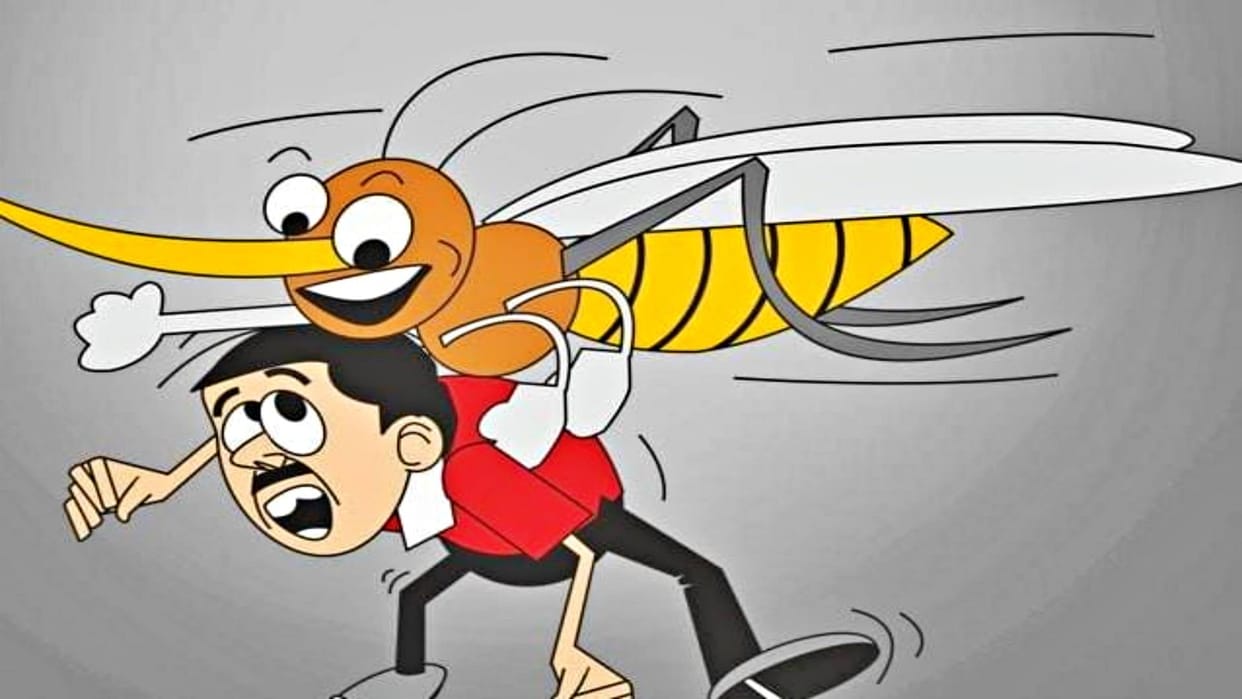 Sehore People could not escape sting of dengue this time too patients broke record for third time in decade