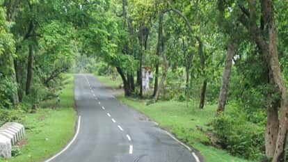 Anuppur More than five hundred trees will be cut for widening Amarkantak-Jabalpur road